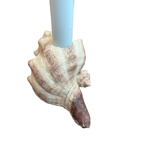 Vintage Resin Sea Shell Table Candle Lamp Beach Theme 9" - Picture 4 of 15